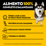 Pedigree Sache High Protein Carne e Frango Ao Molho