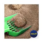 Areia Sanitária Pipicat Campestre Para Gatos - 4kg