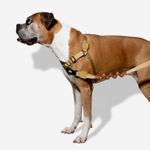 Peitoral Antipuxão ZeeDog  Sand G para Cachorros