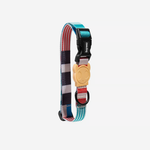 Coleira para Cachorros ZeeDog Yacht P