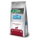 Ração Vet Life Natural Gastro Intestinal Cães 
