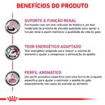 Ração Royal Canin Feline Veterinary Diet Renal Special Gatos com Doenças Renais 