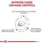 Ração Royal Canin Feline Veterinary Diet Renal Special Gatos com Doenças Renais 