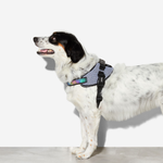 Peitoral para Cachorros Zeedog FlyHarness Urban Tamanho 1
