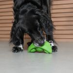 Brinquedo para Cachorros Super Veggiez Ervilha ZeeDog