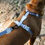 Peitoral para Cachorros H Naturals Marine P