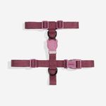 Peitoral para Cachorros H Naturals Hibiscus ZeeDog P