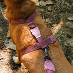 Peitoral para Cachorros H Naturals Hibiscus ZeeDog P