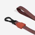 Guia para Cachorros Naturals Cocoa Zeedog P