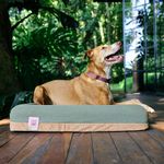 Cama Para Cachorros ZeeDog Zee.Bed Naturals G