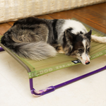 Cama para Cachorros Air.Bed Zeedog Verde G