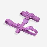 Peitoral para Cachorros H Neopro Ultra Violet ZeeDog P