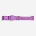 Coleira para Cachorros Neopro Ultra Violet ZeeDog P