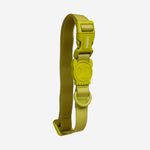 Coleira para Cachorros Neopro Matcha ZeeDog P