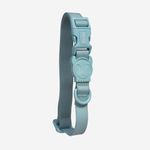 Coleira para Cachorros Neopro Cloudy ZeeDog P