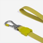 Guia Para Cachorros ZeeDog Neopro Matcha P