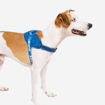 Peitoral para Cachorros Zeedog FlyHarness Slam Dunk Tamanho 1