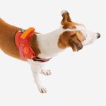 Peitoral para Cachorros Zeedog FlyHarness Gazelle Tamanho 5