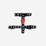 Peitoral para Cachorros H Skull 2.0 ZeeDog P