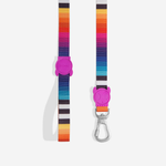 Guia para Cachorros Prisma Zeedog P