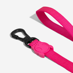 Guia para Cachorros Pink Led Zeedog P