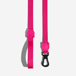 Guia para Cachorros Pink Led Zeedog P