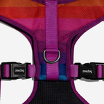Peitoral para Cachorros Air Mesh Ajustável Prisma ZeeDog P