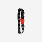 Coleira para Cachorros Skull 2.0 ZeeDog P