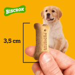Biscoito Pedigree Biscrok Cães Filhotes  300g