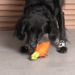 Brinquedo para Cachorros Super Veggiez Cenoura ZeeDog