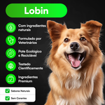Lobin