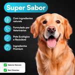 Super Sabor