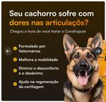 Condropure Frete Grátis