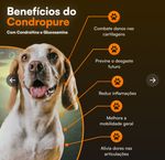 3 Condropures