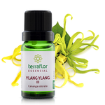 Ylang Ylang III 10 ml Terra Flor