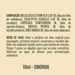 Sinergia Sinus Flor 10 ml Terra Flor