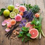 Blend de Óleos Essenciais Energizante Via Aroma - 10ml