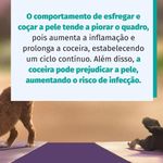 Kit 2 Zenrelia 6,4mg Dermatológico Para Cães 30 Comp- Elanco