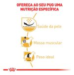 Alimento Royal Canin Breed Health Nutrition Pug Para Cão Adulto De Raza Pequena Sabor Mix De 2.5 Kg