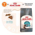 Alimento Royal Canin Feline Care Nutrition Hairball Care Para Gato Adulto Sabor Mix De 1.5 Kg