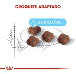 Alimento Royal Canin Feline Health Nutrition Mother & Babycat Para Gato Gatinho Sabor Mix De 400 G