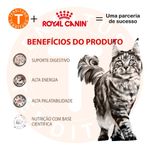 Alimento Royal Canin Veterinary Diet Feline Gastrointestinal (gi 32) Para Gato Adulto De Raza Todos Os Tamanhos Sabor Min