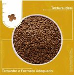 Fórmula Natural Fresh Meat Salmão Para Gatos Castrados 1kg
