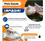 Kit 6 Unidades Gatos Churu Atum E Salmão 14g X 4 = 56g (24 Saches) Petisco Alimento Úmido