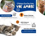 Kit 6 Unidades Gatos Churu Atum E Salmão 14g X 4 = 56g (24 Saches) Petisco Alimento Úmido