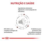 Ração Royal C. Feline Gastrointestinal Fibre Response 1,5kg