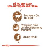Ração Royal Canin Feline Sterilised Gatos 12+ Anos 400g