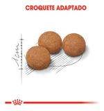 Ração Royal Canin Feline Sterilised Gatos 12+ Anos 400g