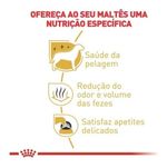 Ração Royal Canin Maltês 2,5kg - Cães Adultos