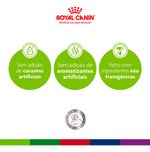 Ração Royal Canin Mini Indoor Adult Adulto Pequeno 2,5kg